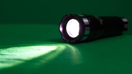 Bright LED Flashlight: See What’s Hiding in Plain Sight