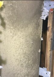 Mold drywall behind the airhandler